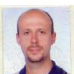 vittorio ballarini