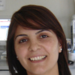 Fatima valido Mayor