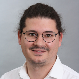 David Ferreira Leiner