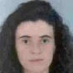 Dianna T. A. Ruas