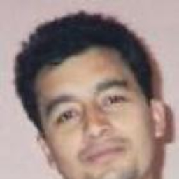 juan carlos ibarra salazar