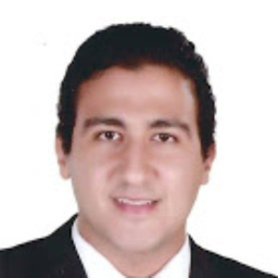 Mohamed Gamal - Senior Systems Engineer - Valeo Egypt | XING