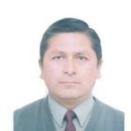 JOEL EDILBERTO BULLON CHURAMPI