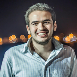 Ahmed Elkamhawi