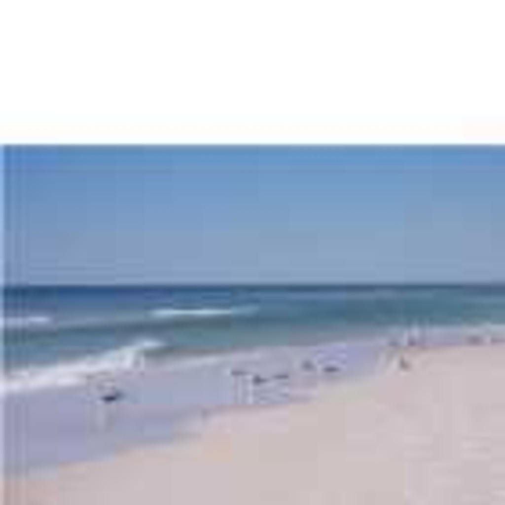 Debbie Webb Broker Associate Sellstate Gulf Coast Realty XING