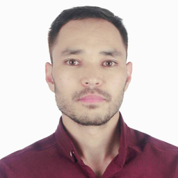 Muhammad Hussain Royesh