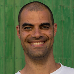 Henrique Rocha