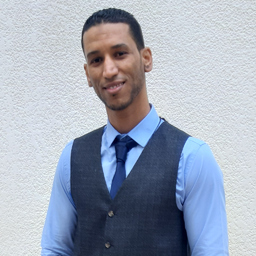 Ing. Mahmoud Ben Brahim