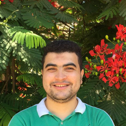 Ebrahim Elmkawy
