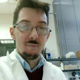 Paolo Pelini