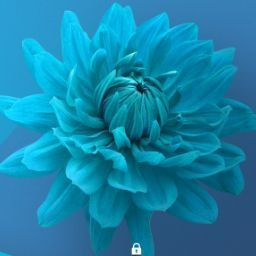ALi Abdullah's profile picture