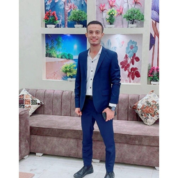 Ing. Ahmed Bahgat