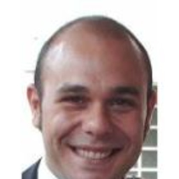 Massimo Ferrauti