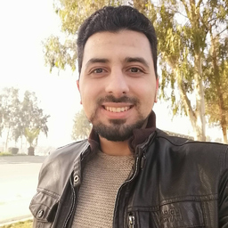 amer zibak