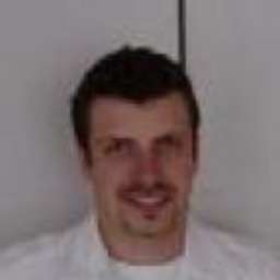 Martin Holler