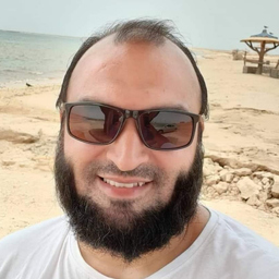 badr ibrahim