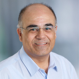 Ibrahim Sönmezoglu