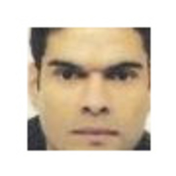 Jean-Marc Brachet's profile picture