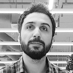 Alaa Abboud