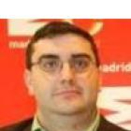 David pedroche huelamo