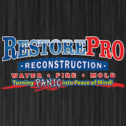 RestorePro Reconstruction