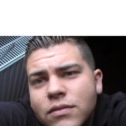 Michael Schweinester