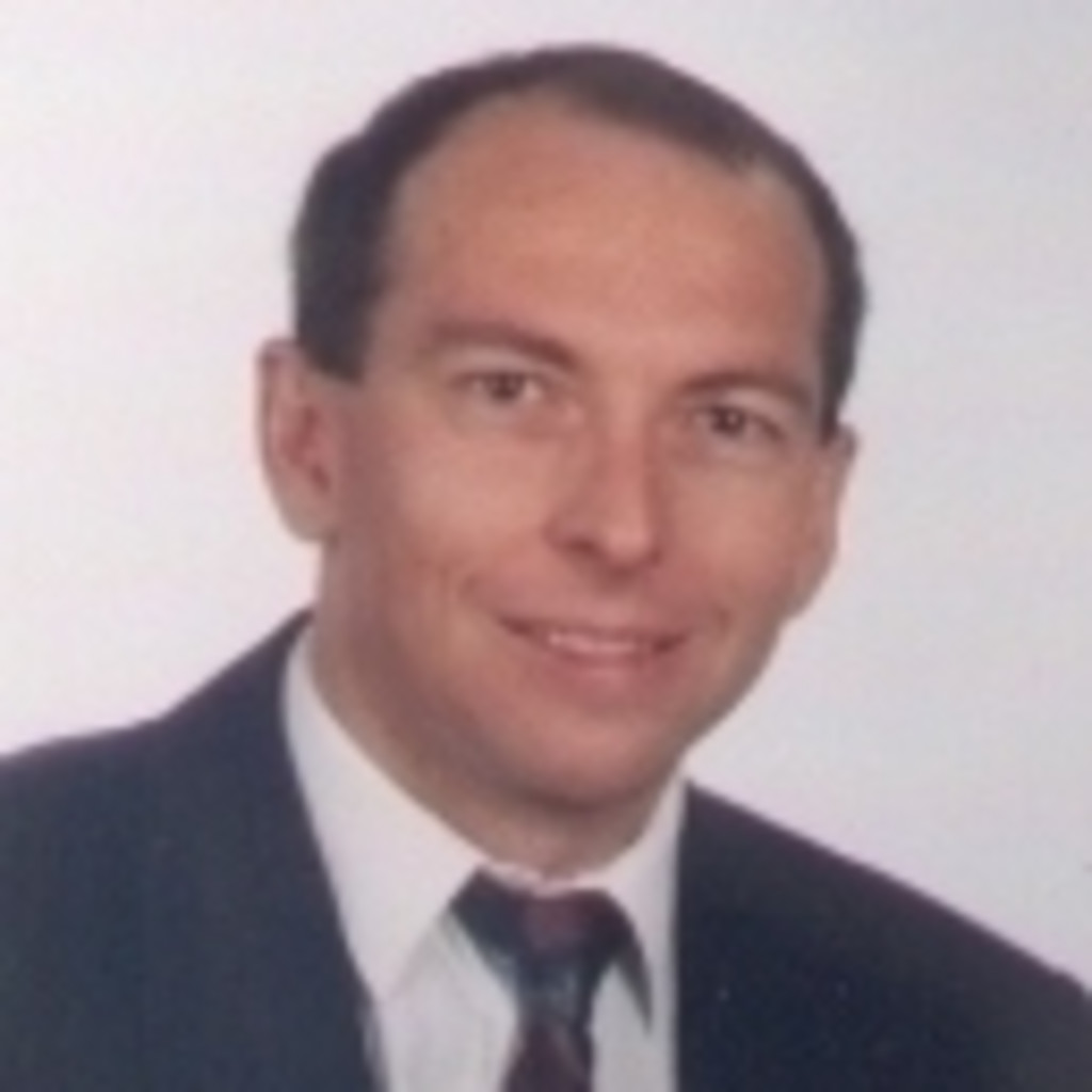 Armin Jung Consultant COSMO CONSULT SI GmbH XING