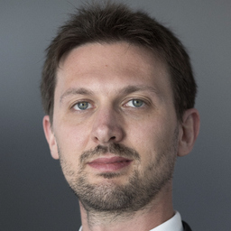 Dr. Giulio Chini