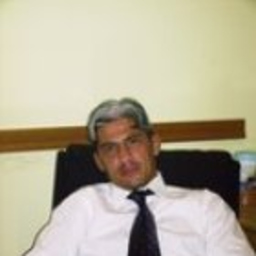 Massimiliano Bresciani