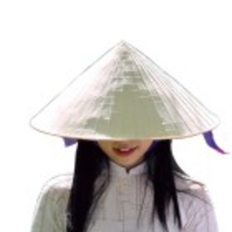 Krista Giang