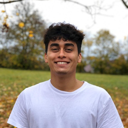 Lorenzo Cammarota's profile picture