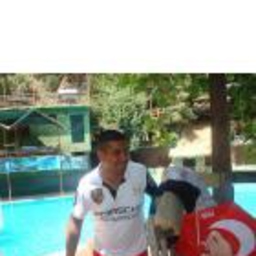 Birol Aksüt