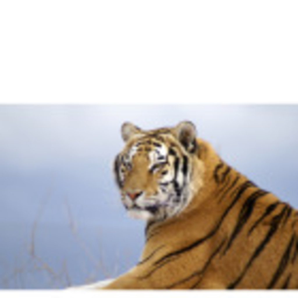 Paul Fisher President Fin_invest_group XING