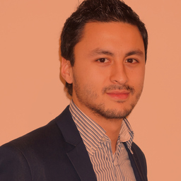 Alejandro Loke Fernandez's profile picture