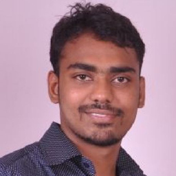 Nipulkumar kanjibhai