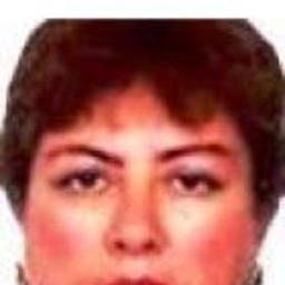 GLORIA RAMOS LLOJA