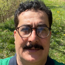 Mohammad Ali Zamani