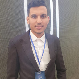 ramzi abidi