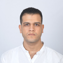 Mahmoud Ahmed El-Shall