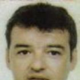 carlos roura dominguez