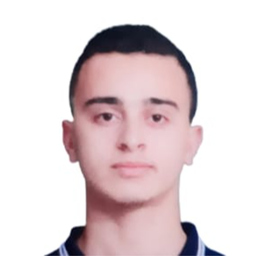 Mohammed AL Hassani's profile picture