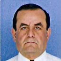 Prof. Fabian Saldarriaga Sanchez