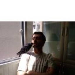 Erkan AVCI