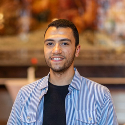 Amr Hassanin