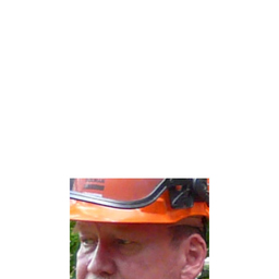 Rolf Lehmann