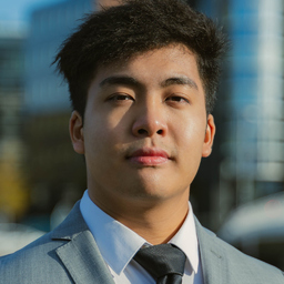 Thanh Tung Bui