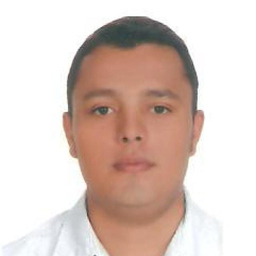 Luis Alfonso Vélez Avendaño