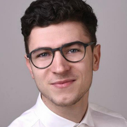 David Krispin