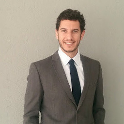 Dipl.-Ing. David LOPEZ