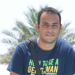 Amr Aboelela